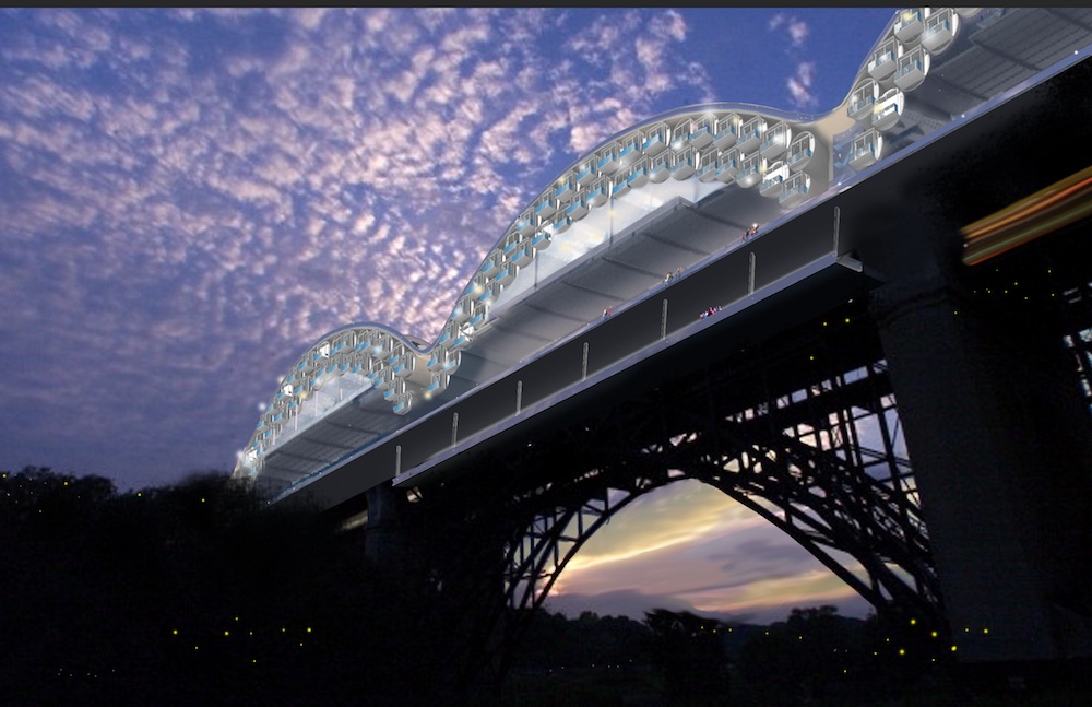 The 'living bridge' at night - Tye Farrow