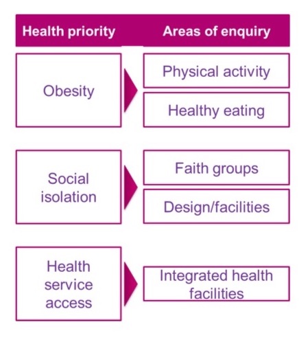 Figure 1: Three key health themes in social research project and related areas of enquiry - 