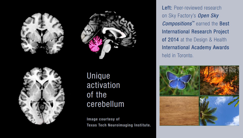 Published research on Open Sky Compositions found evidence of multisensory neural engagement - 