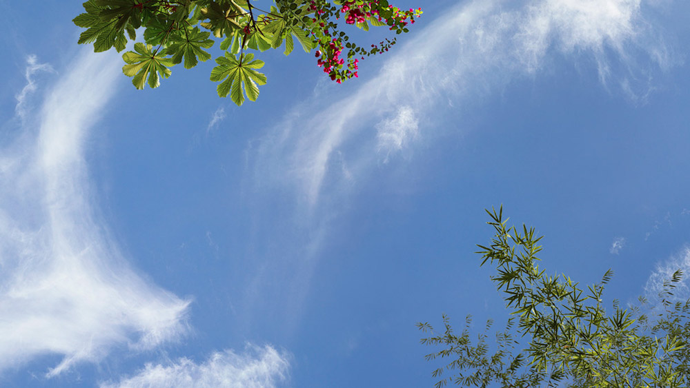 Multisensory Open Sky Compositions* engage spatial cognition - Sky Factory 2018