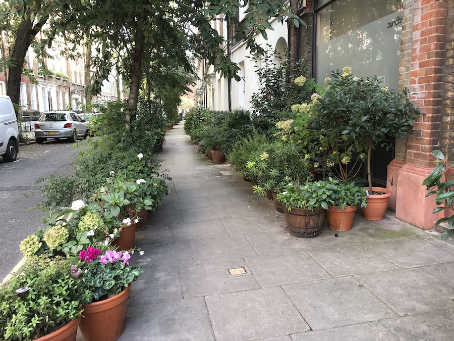 Figure 9: Guerilla gardening eastern end, Great Ormond St - 