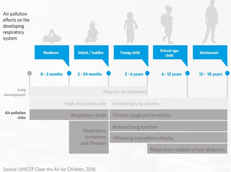 Figure 14: Air pollution effects on the developing respiratory system - Unicef